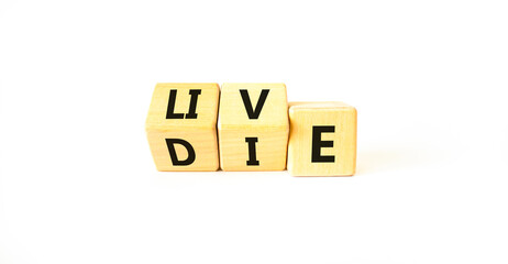 Live or die symbol. Concept word Live or Die on wooden cubes. Beautiful white table white background. Business lifestyle and live or die concept. Copy space.