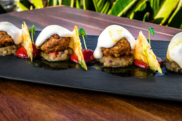 Close-up of well-arranged, chic restaurant dish on long black plate. The dish features meatballs with white topping, artfully placed on a bed of vegetable paste. emphasizing culinary sophistication