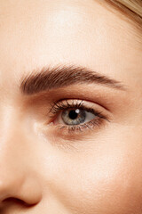 Close-up of beautiful clear female face with attractive gray eyes, perfect eyebrows and natural...