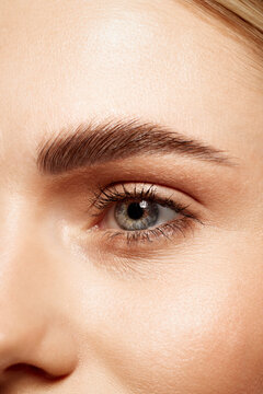 Close-up of beautiful clear female face with attractive gray eyes, perfect eyebrows and natural lashes. Eyebrow and lash lamination, eye lenses, eye care. Concept of makeup, cosmetics, ophthalmology