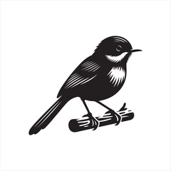 Bird vector silhouette design.