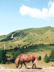 Exploring the Natural and Cultural Wonders of Northern Italy