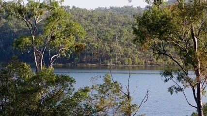 river bush riverside rural scenery, Queensland Australia, countryside, tranquil water flow flowing, eucalypt gum trees forest, relax relaxation idyllic holiday escape