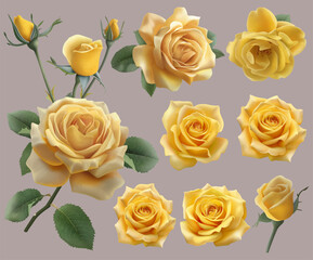 Watercolor Cottage Core Roses