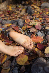 bare feet of a child close-up among the bright fallen leaves. carefree childhood, freedom, walks, enjoying the warm sunny days of autumn. rest for the feet. Indian summer. selective focus