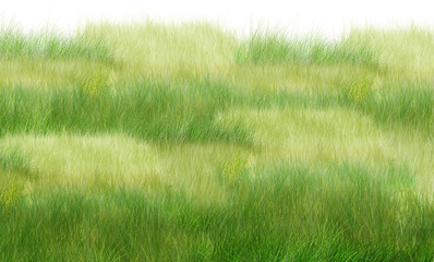 Green grass, natural outdoors, high grass surface green, split on a white background
