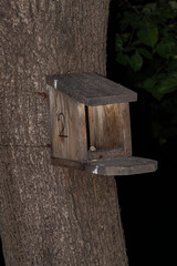 Close-up of a wooden bird feeder attached to a tree trunk with wire, featuring a small porch and cover, captured in the evening.
