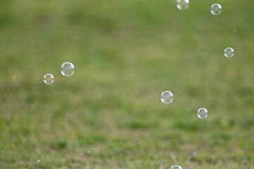 シャボン玉飛んだ