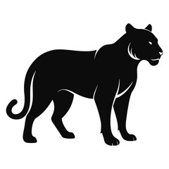 black silhouette of a tiger on the white background of vector illustration