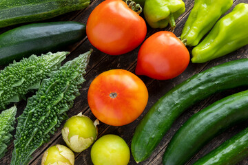 Freshly harvested vegetables from an organic garden: zucchini, tomatoes, tomatillos, cubanelle chilis, bitter melons, and Japanese cucumbers.