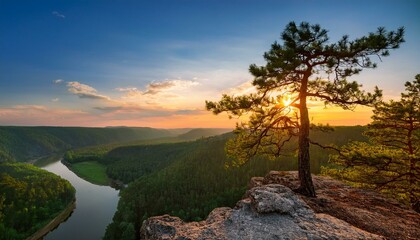 A single pine tree remains on the cliff edge above the forest, offering a breath-taking view of the...