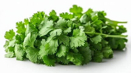 Fototapeta premium Benefits of Cilantro: Digestive Aid and Antioxidant Properties