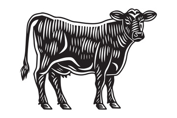 Vintage Engraved Cow Vector Illustration in Black and White with Detailed Woodcut Style
