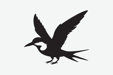 Egret Bird vector art and illustration