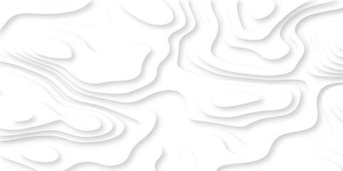 Abstract luxury white modern 3d papercut, topography map circle and wave line smooth multilayer pattern. vector white art papercut design Topographic geometric map relief texture with curved layers.
