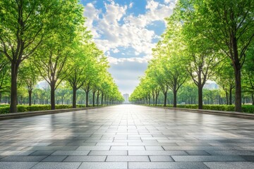 Obraz premium In the city park, there is an empty floor square and a playground ferris wheel