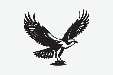 Eagle Bird vector art and illustration