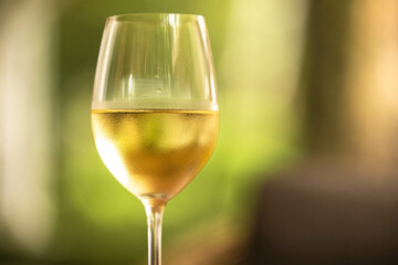 A chilled glass of white wine glimmers in the sunlight at a relaxed gathering.