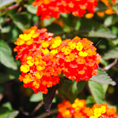 Discover the Hidden Gems of Spain’s Stunning Costa Brava Coastline