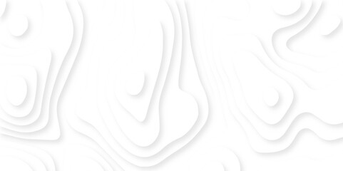 Fototapeta premium Abstract luxury white modern 3d papercut, topography map circle and wave line smooth multilayer pattern. vector white art papercut design Topographic geometric map relief texture with curved layers.