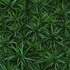 Obraz premium background of green grass