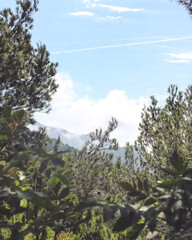 Marselha: A Alma da Provença