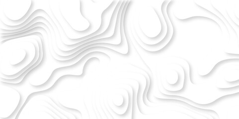 Abstract luxury white modern 3d papercut, topography map circle and wave line smooth multilayer pattern. vector white art papercut design Topographic geometric map relief texture with curved layers.