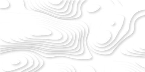 Abstract luxury white modern 3d papercut, topography map circle and wave line smooth multilayer pattern. vector white art papercut design Topographic geometric map relief texture with curved layers.