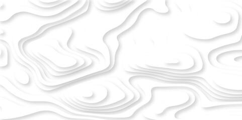 Abstract luxury white modern 3d papercut, topography map circle and wave line smooth multilayer pattern. vector white art papercut design Topographic geometric map relief texture with curved layers.