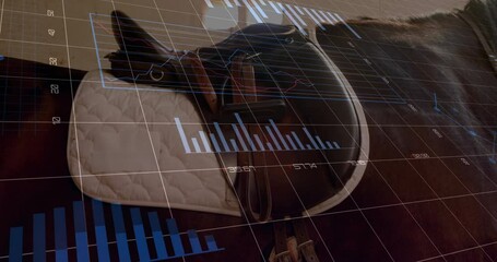 Data analytics animation over horse with saddle in stable setting - Powered by Adobe