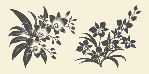 Black silhouette of dendrobium flower. Floral drawing vector illustration. 