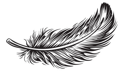 Obraz premium Detailed Black and White Feather Sketch in Vintage Woodcut Style Vector Illustration