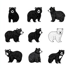 A grid of bear illustrations in various poses, including one polar bear.