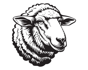 Sheep Profile Illustration in Black and White Vintage Woodcut Style Vector Drawing