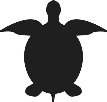 recommend clip art: turtle silhouette