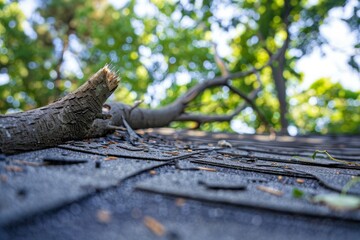 Fototapeta premium Fallen tree branch on a damaged roof after a storm. Ideal for home insurance claims, disaster management, or roofing repair services.