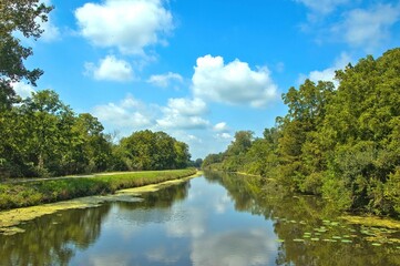 Fototapeta premium Sunny Summer day landscape of the Hennepin Canal recreational trail passing through a field and lush green forest beside the canal in Northern Illinois.