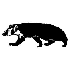 Badger