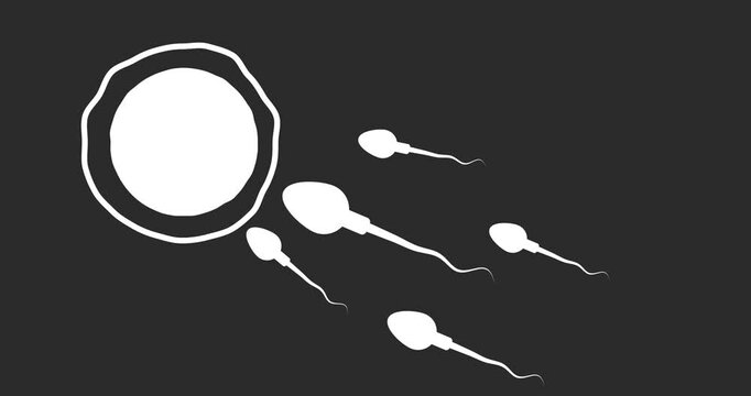 Fertilized ovum, animation of attack of spermatozoons and egg cell, footage