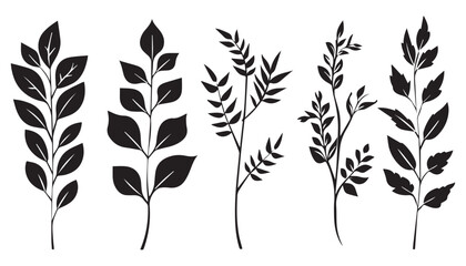 Collection of Various Leaf Silhouettes in Black on White Background for Botanical Design