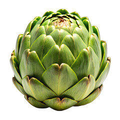 Obraz premium A close-up of a single, green artichoke isolated against a white background