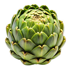 Obraz premium A single artichoke, with its intricate green scales, is isolated on a white background