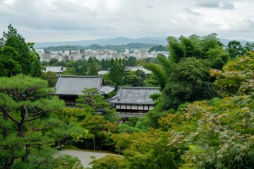 A lush green forest with a view of a city in the distance. The trees are tall and leafy, and the sky is cloudy