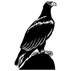 Black Eagle