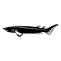 Bramble Shark