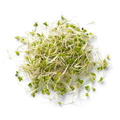 Heap of fresh green Broccoli sprouts close up isolated on white background