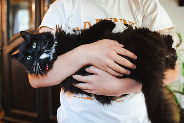 Black and white cat being held in arms