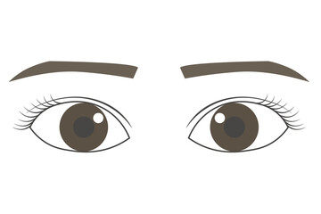 直線的な眉毛ときれいなまつ毛のある二重の目