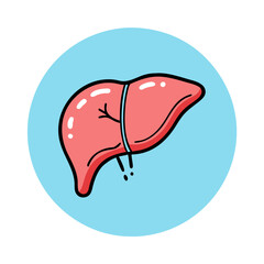 Liver icon illustration, human anatomy in red and blue color scheme, medical symbol on blue background