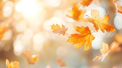 Fototapeta premium Golden Autumn Leaves Falling Background